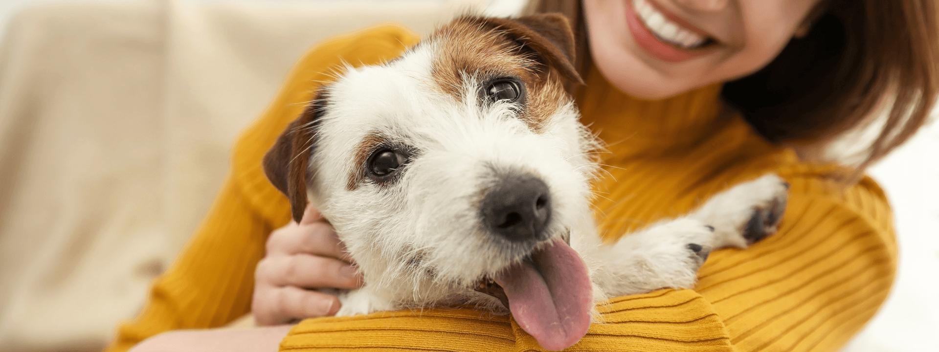 Dog Skin Conditions – Helping Your Furry Friend Ditch The Itch