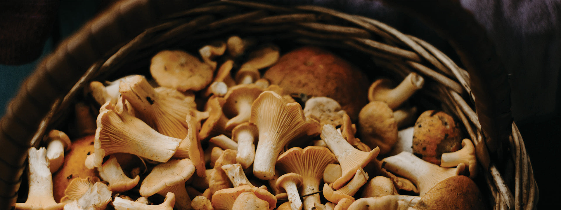 Superfood Spotlight: Medicinal Mushrooms